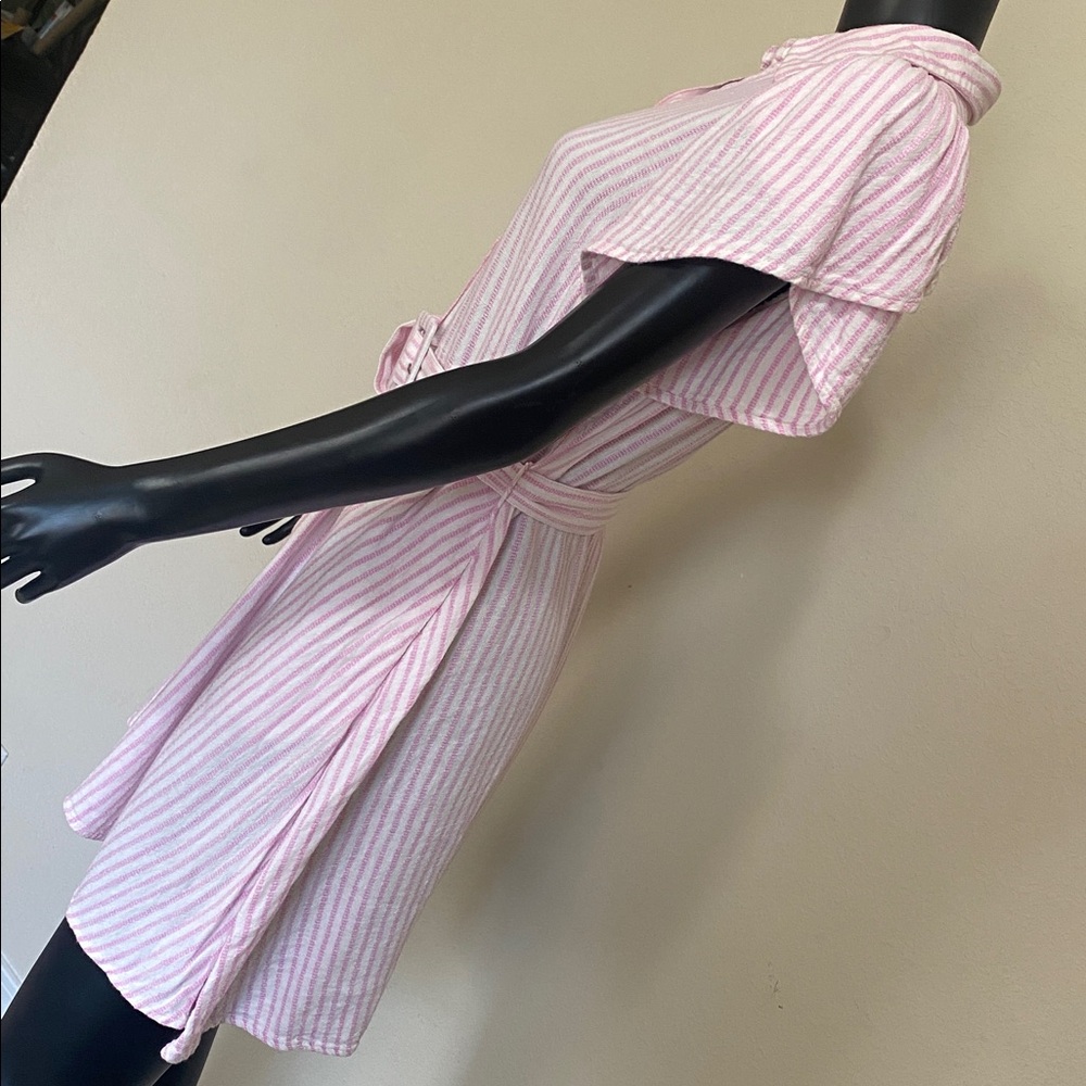 Alexis Pink and White Striped Button Mini Dress - Picture 7 of 14